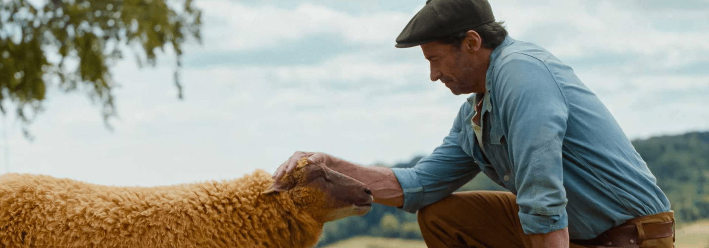 The Sheep Detectives